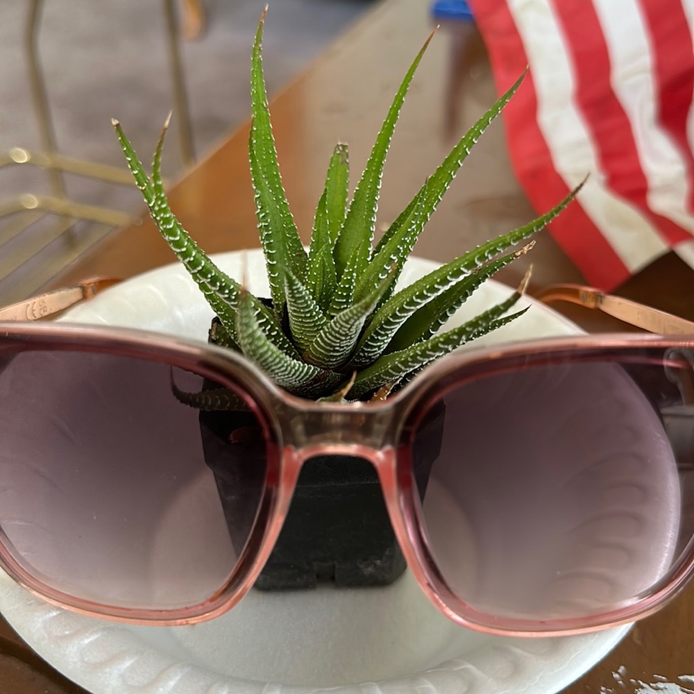 Sam Eldelman Circus NY Sunglasses